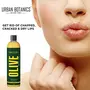 UrbanBotanics Pure Cold Pressed Olive Oil For Hair and Skin 250ml, 3 image