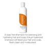 Dermavive Dry Scalp Shampoo Dandruff Control Hydrating and Moisturizing Shampoo for Dry Sensitive Scalp 250ml, 2 image