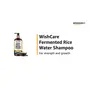 WishCare Fermented Rice Water Shampoo - Strength & Growth Formula - Free from Mineral Oils Sulphates & Paraben - For All Hair Types - 300 Ml, 2 image