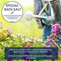 WishCare Natural & Pure Epsom Bath Salt - 950 Gms - No Color/Fragrance/Preservatives - Muscle Pain Relief, 5 image