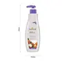 Santoor Perfumed Body Lotion for Extra Moisturizing 250ml Combination Buy1 Get1 Free Sandalwood 500 ml, 5 image