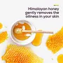 Santoor Blushing Skin Body Wash 230ml Enriched With Indian Wild Rose & Himalayan Honey Soap-Free Paraben-Free pH Balanced Shower Gel, 4 image