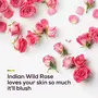 Santoor Blushing Skin Body Wash 230ml Enriched With Indian Wild Rose & Himalayan Honey Soap-Free Paraben-Free pH Balanced Shower Gel, 3 image