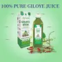 Jeevanras Giloye Juice (500 ml), 2 image