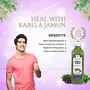 Jeevanras Karela Jamun Swaras (500ml) I Maintaining Blood Sugar Levels | Lowers Bad Cholesterol Levels | For Glowing Skin and Lustrous Hair | 100% Natural WHO GMP GLP Certified Product, 3 image