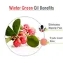 Crysalis Wintergreen (Gaultheria Procumbens) Oil |100% Pure & Natural Undiluted Essential Oil Organic Standard|For Undiluted Therapeutic Grade |Aromatherapy Oil| For all Skin Types- 50ml with dropper, 4 image