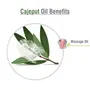 Crysalis Cajeput (Melaleuca Leucadendra) Oil|100% Pure & Natural Undiluted Essential Oil Organic Standard For Skin & Hair Care|Therapeutic Grade Oil Healthy Skin & Hair-30ML With Dropper, 4 image