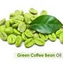 Crysalis Green Coffee Bean (Coffea Arabica.) |100% Pure & Natural Undiluted Cold Pressed Oil Organic Standard/ Skin Care Hair Care Fragrances/ Energise The Atmosphere-100Ml/ External Use Only 30ml, 3 image