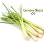Crysalis Lemon Grass (Cymbopogon Citratus) |100% Pure & Natural Undiluted Essential Oil Organic Standard l For Room Fragrances PerfumeScented DiffuserIncense/For Hair & Skin Care-15ML With Dropper, 3 image