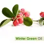 Crysalis Wintergreen (Gaultheria Procumbens) Oil |100% Pure & Natural Undiluted Essential Oil Organic Standard|For Undiluted Therapeutic Grade |Aromatherapy Oil| For all Skin Types- 50ml with dropper, 3 image