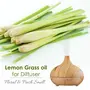 Crysalis Lemon Grass (Cymbopogon Citratus) |100% Pure & Natural Undiluted Essential Oil Organic Standard l For Room Fragrances PerfumeScented DiffuserIncense/For Hair & Skin Care-15ML With Dropper, 6 image