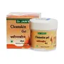 DR. JAIN'S Cleanskin Gel for Face Glow Natural Deep Cleanse like Facewash 100grams (pack of 1)