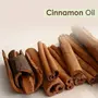Crysalis Cinnamon Oil (Cinnamomum Zeylanicum) Oil|100% Pure & Natural Undiluted Essential Oil Organic Standard For Skin & Haircare|Improves Skin Tone Slows Signs Aging Hair Care - 30ML With Dropper, 3 image