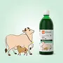 Krishna's Herbal & Ayurveda Gomutra Ark Desi Cow Urine - 500 ml (Pack of 1), 4 image