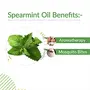 Crysalis Spearmint (Mentha Spicata) Oil |100% Pure & Natural Undiluted Essential Oil Organic Standard Spearmint Antioxidant Oil Reduces Fine Lines & Skin Imperfections Reduce Breakouts -100ml Dropper, 4 image