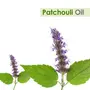Crysalis Patchouli (Pogostemon Cablin) Oil |100% Pure & Natural Undiluted Essential Oil Organic Standard| Helps In Care Of Skin Hair |Aromatherapy Oil| 100ml With Dropper, 3 image