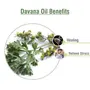Crysalis Davana (Artemisia Pallens) Oil|100% Pure & Natural Undiluted Essential Oil Organic Standard For Skin & Hair Care | Used In Natural Perfume Making & High-End Fragrances - 50ML With Dropper, 4 image