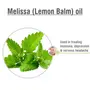 Crysalis Melissa (Melissa Officinalis) |Acts As An Emollient Sealing In Moisture Keeping Skin Soft And SuppleHelp Relax Boost Mood Air Freshner Improve Skin Glow - 30ML With Dropper, 4 image