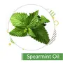Crysalis Spearmint (Mentha Spicata) Oil |100% Pure & Natural Undiluted Essential Oil Organic Standard Spearmint Antioxidant Oil Reduces Fine Lines & Skin Imperfections Reduce Breakouts -100ml Dropper, 3 image