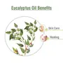 Crysalis Eucalyptus (Eucalyptus) Oil|100% Pure & Natural Undiluted Essential Oil Organic Standard For Skin & Hair Care | Therapeutic Grade Aromatherapy - 100ML with dropper, 4 image