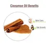 Crysalis Cinnamon Oil (Cinnamomum Zeylanicum) Oil|100% Pure & Natural Undiluted Essential Oil Organic Standard For Skin & Haircare|Improves Skin Tone Slows Signs Aging Hair Care - 30ML With Dropper, 4 image