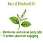 Crysalis Patchouli (Pogostemon Cablin) Oil |100% Pure & Natural Undiluted Essential Oil Organic Standard| Helps In Care Of Skin Hair |Aromatherapy Oil| 100ml With Dropper, 6 image