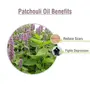 Crysalis Patchouli (Pogostemon Cablin) Oil |100% Pure & Natural Undiluted Essential Oil Organic Standard| Helps In Care Of Skin Hair |Aromatherapy Oil| 100ml With Dropper, 4 image