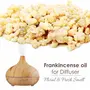 Crysalis Frankincense (Boswellia ) |100% Pure & Natural Undiluted Essential Oil Organic Standard/ Steam Distilled Oil For Room Fragrances Perfume Scented Diffuser Incense - 30ML With Dropper, 7 image