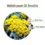 Crysalis Helichrysum (Helichrysum Italicum) |100% Pure & Natural Undiluted Essential Oil (Helichrysum) Organic Standard/ For Aromatherapy Skin Care Hair Care Body Care- 30ML With Dropper, 3 image