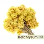 Crysalis Helichrysum (Helichrysum Italicum) |100% Pure & Natural Undiluted Essential Oil (Helichrysum) Organic Standard/ For Aromatherapy Skin Care Hair Care Body Care- 30ML With Dropper, 2 image