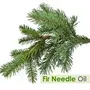 Crysalis Firneedle (Abies Sibirica) Oil|100% Pure & Natural Undiluted Essential Oil Organic Standard For Skin & Haircare|Aromatherapy Oil| 30ml with dropper, 3 image