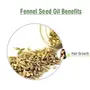 Crysalis Fennel Seed (Foeniculum Vulgare) Oil|100% Pure & Natural Undiluted Essential Oil Organic Standard For Skin & Haircare|Strengthens Hair Roots Calms & Soothes The Skin 15ml, 4 image
