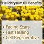 Crysalis Helichrysum (Helichrysum Italicum) |100% Pure & Natural Undiluted Essential Oil (Helichrysum) Organic Standard/ For Aromatherapy Skin Care Hair Care Body Care- 30ML With Dropper, 5 image