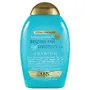 OGX Extra Strength Hydrate & Repair + Argan Oil of Morocco Shampoo for Dry Damaged Hair Cold-Pressed Argan Oil to Moisturize & Smooth Paraben-Free Sulfate-Free Surfactants 385 ml