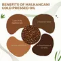Oilcure Malkangani Oil | Edible | Cold Pressed | Jyotishmati | Malkangni | Celastrus Paniculatus | Pure - 100 ml, 5 image