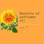 Oilcure Safflower Oil | Cold Pressed | 100 ml | Pure, 3 image