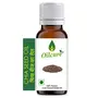 Oilcure Chia Seed Oil | Cold Pressed | Pure - 100 ml