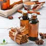 Oilcure Cinnamon Bark Essential Oil | 30 ml | Pure | Undiluted, 3 image
