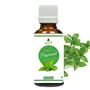 Oilcure Peppermint Essential Oil | 30 ml | Pure | Undiluted