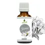 Oilcure Jasmine Oil | 30 ml | Pure | Undiluted