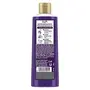 Lux Shower Gel Black Orchid Fragrance & Juniper Oil Bodywash With Glycerine For Soft Skin Long Lasting Fragrance Paraben Free 245 ml, 2 image