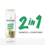 Pantene Advanced Hairfall Solution 2in1 Anti-Hairfall Silky Smooth Shampoo & Conditioner for Women 1L, 4 image