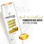 Pantene Advanced Hairfall Solution Total Damage Care Shampoo Pack of 1 340ML Gold, 5 image