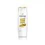 Pantene Advanced Hairfall Solution Total Damage Care Shampoo Pack of 1 340ML Gold