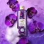 Lux Shower Gel Black Orchid Fragrance & Juniper Oil Bodywash With Glycerine For Soft Skin Long Lasting Fragrance Paraben Free 245 ml, 6 image
