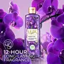 Lux Shower Gel Black Orchid Fragrance & Juniper Oil Bodywash With Glycerine For Soft Skin Long Lasting Fragrance Paraben Free 245 ml, 5 image