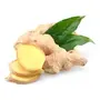DiaBliss Herbal Diabetic Friendly Herbal Lemon Tea - Low GI - 30 x 10 Grams Sachet Box, 5 image