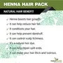 The Forest Herbs Natural Care From Nature Henna Mix Powder With Amla Shikakai Hibiscus Bhringraj Neem Methi Powder For Hair Colour & Conditioning (100 g (Pack of 1)), 4 image
