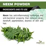 The Forest Herbs Natural Care From Nature Organic Pure & Natural Neem Leaves Powder (Sun Dried & Stemless - Pack 100GMS), 3 image