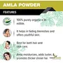 Forest Herbs 100% Natural Organic Amla Indian Gooseberry Powder For Hair Growth - 100Gms, 3 image